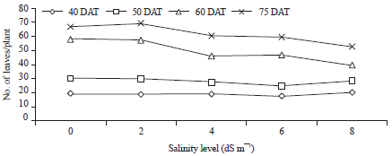 Image for - Response of Tomato Plant Under Salt Stress: Role of Exogenous Calcium