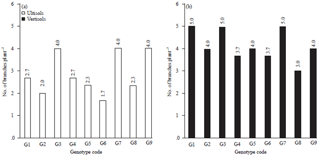 Image for - Increasing Grain Size Improves Grain Yield of Acid-Adaptive Soybean Lines in Optimal Soil Condition