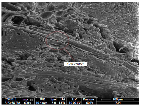 Image for - Physical, Mechanical and Morphological Studies on Bio-compositeMixture of Oil Palm Frond and Kenaf Bast Fibers