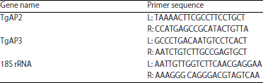 Image for - APETALA2 and APETALA3 Genes Expression Profiling on Floral Development of Teak (Tectona grandis Linn f.)