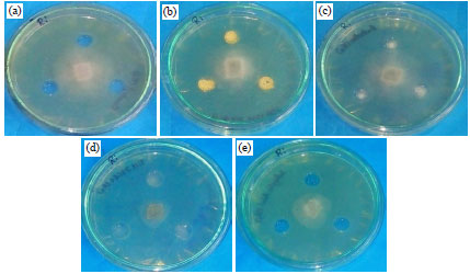 Image for - Improvement of Cucurbit Seed Health Status by Salicylic Acid and Fungicides