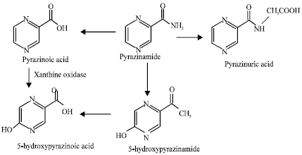 Image for - Molecular Modelling Analysis of the Metablism of Pyrazinamide