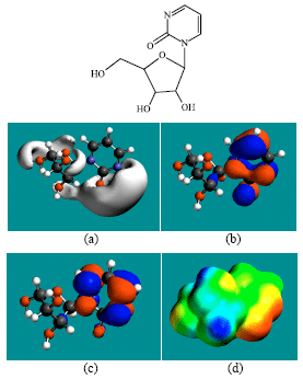 Image for - Molecular Modelling Analysis of the Metabolism of Zebularine