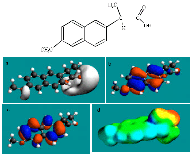 Image for - Molecular Modelling Analysis of the Metabolism of Naproxen