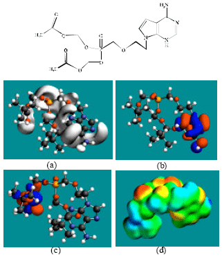 Image for - Molecular Modelling Analysis of the Metabolism of Adefovir Dipivoxil