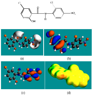 Image for - Molecular Modelling Analysis of the Metabolism of Niclosamide