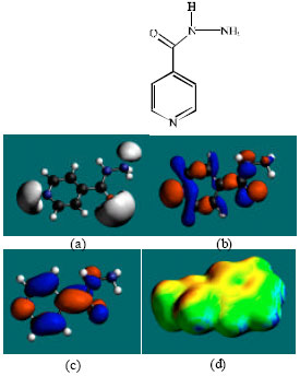 Image for - Molecular Modelling Analysis of the Metabolism of Isoniazid