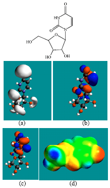 Image for - Molecular Modelling Analysis of the Metabolism of Zebularine
