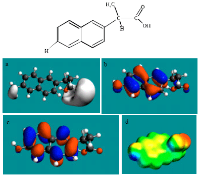 Image for - Molecular Modelling Analysis of the Metabolism of Naproxen