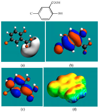 Image for - Molecular Modelling Analysis of the Metabolism of Niclosamide