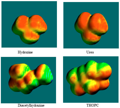Image for - Molecular Modelling Analysis of the Metabolism of Hydrazine
