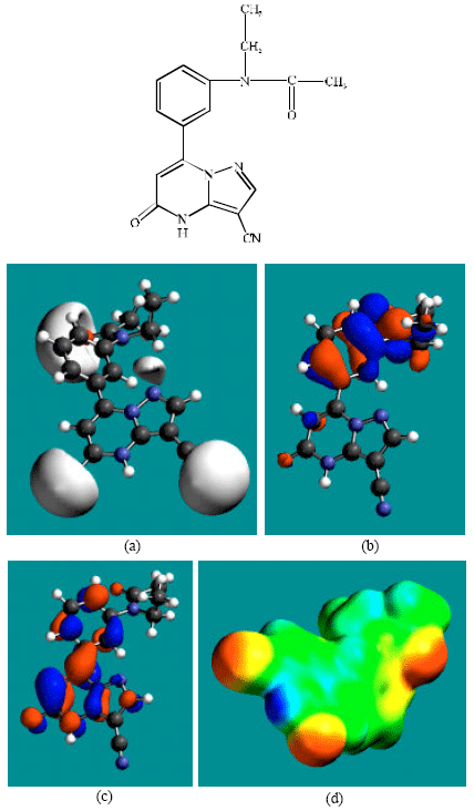 Image for - Molecular Modelling Analysis of the Metabolism of Zaleplon