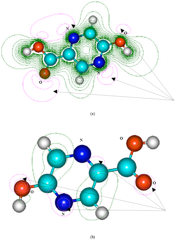 Image for - Molecular Modelling Analysis of the Metablism of Pyrazinamide