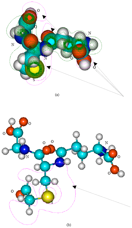 Image for - Molecular Modelling Analysis of the Metabolism of Vinyl chloride