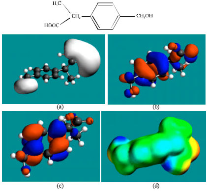 Image for - Molecular Modelling Analysis of the Metabolism of Ibuprofen