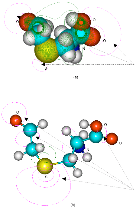 Image for - Molecular Modelling Analysis of the Metabolism of Vinyl chloride