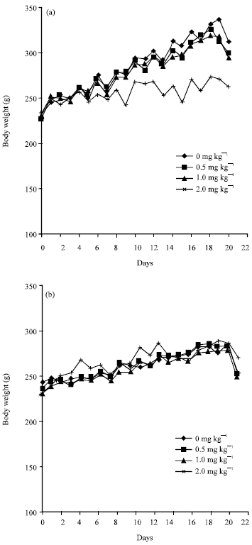 Image for - Time Course of Urinary Metallothionein Excretion in Rats Exposed to Cadmium