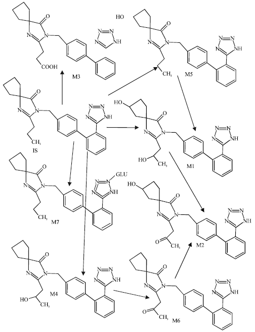 Image for - Molecular Modelling Analysis of the Metabolism of Irbesartan