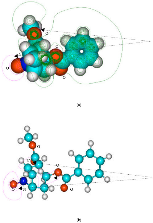 Image for - Molecular Modelling Analysis of the Metabolism of Cocaine