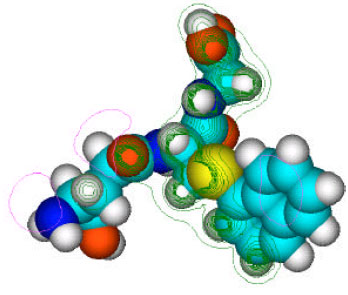Image for - Molecular Modelling Analysis of the Metabolism of Naphthalene