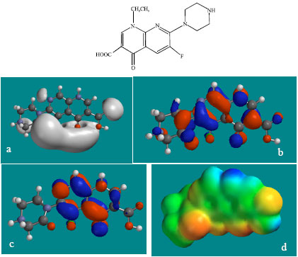 Image for - Molecular Modelling Analysis of the Metabolism of Enoxacin