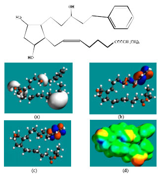 Image for - Molecular Modelling Analysis of the Metabolism of Latanoprost
