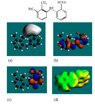 Image for - Molecular Modelling Analysis of the Metabolism of Mefenamic Acid
