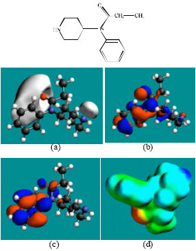 Image for - Molecular Modelling Analysis of the Metabolism of Fentanyl