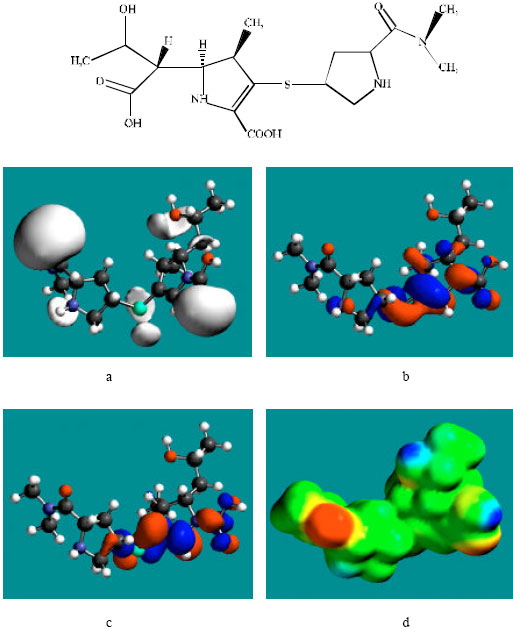 Image for - Molecular Modelling Analysis of the Metabolism of Meropenem