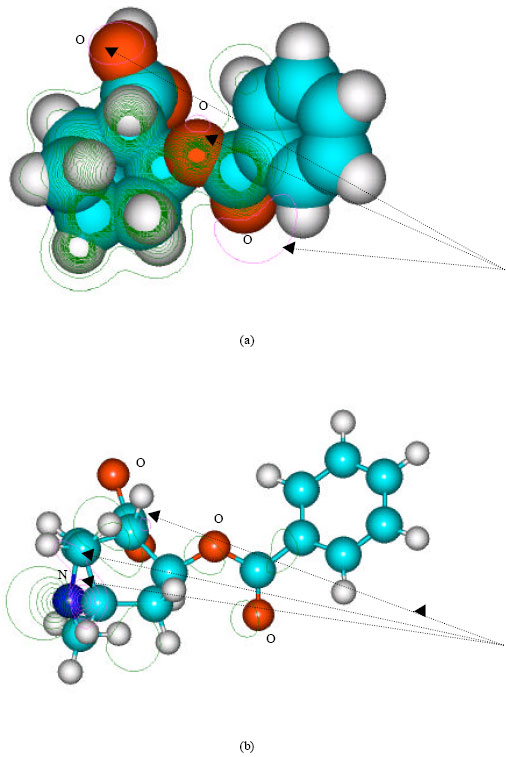 Image for - Molecular Modelling Analysis of the Metabolism of Cocaine
