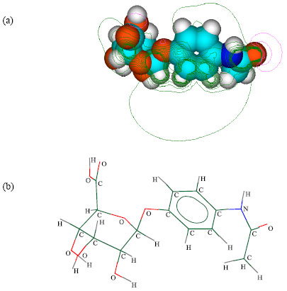 Image for - Molecular Modelling Analysis of the Metabolism of Paracetamol
