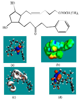Image for - Molecular Modelling Analysis of the Metabolism of Latanoprost