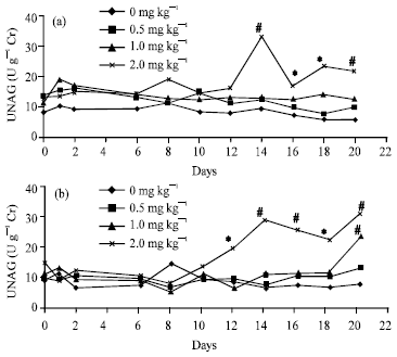 Image for - Time Course of Urinary Metallothionein Excretion in Rats Exposed to Cadmium