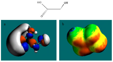 Image for - Molecular Modelling Analysis of the Metabolic Activation of Ethylene Glycol