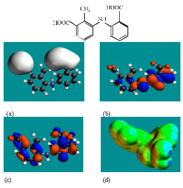 Image for - Molecular Modelling Analysis of the Metabolism of Mefenamic Acid