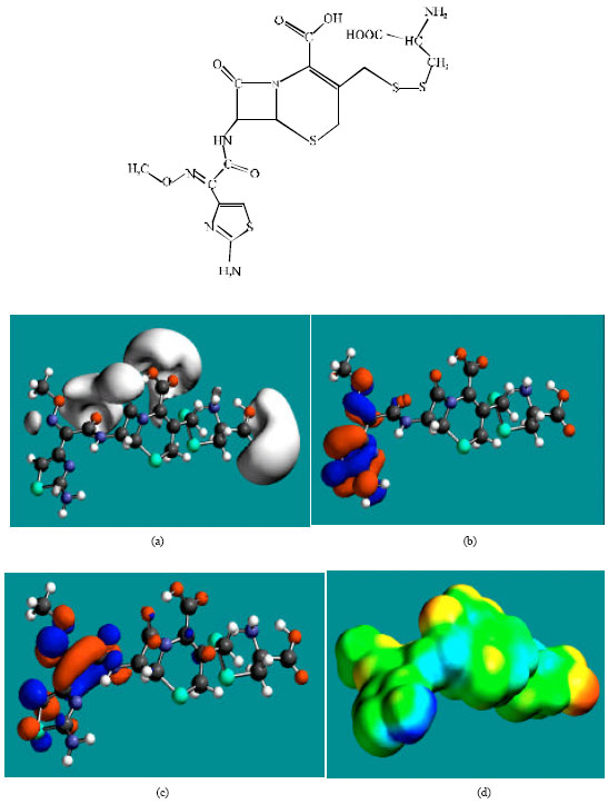 Image for - Molecular Modelling Analysis of the Metabolism of Ceftiofur