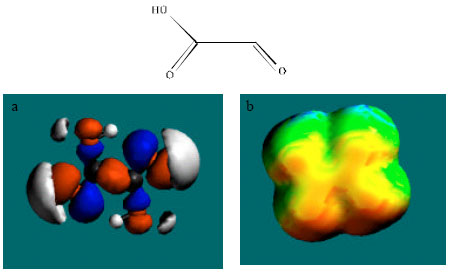 Image for - Molecular Modelling Analysis of the Metabolic Activation of Ethylene Glycol