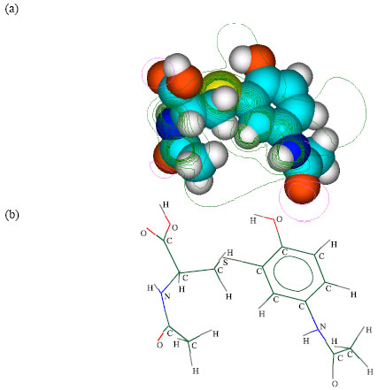 Image for - Molecular Modelling Analysis of the Metabolism of Paracetamol