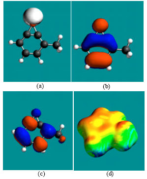 Image for - Molecular Modelling Analysis of the Metabolism of Toluene