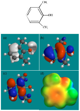 Image for - A Molecular Modelling Analysis of the Metabolism of Mexiletine