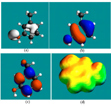 Image for - Molecular Modelling Analysis of the Metabolism of Toluene