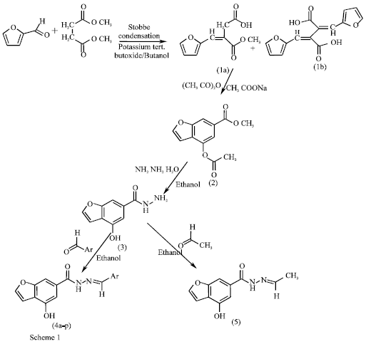 Image for - Novel Schiff Bases of 4-Hydroxy 6-Carboxhydrazino Benzofuran Analogs: Synthesis and Pharmacological Study