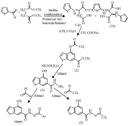 Image for - Synthesis and Pharmacological Study of Some Novel Schiff Bases of 4-Hydroxy 6-Carboxhydrazino Benzothiophene Analogs