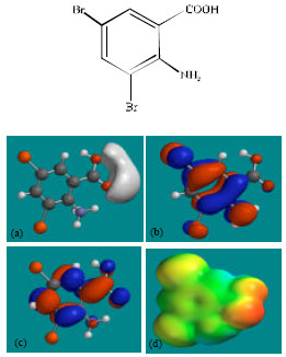 Image for - Molecular Modelling Analysis of the Metabolism of Ambroxol