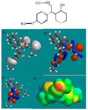 Image for - Molecular Modelling Analysis of the Metabolism of Venlafaxine