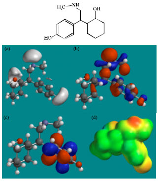 Image for - Molecular Modelling Analysis of the Metabolism of Venlafaxine