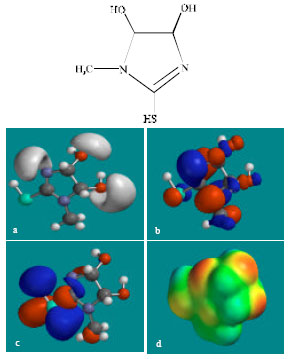Image for - Molecular Modelling Analysis of the Metabolism of Methimazole