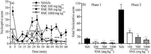 Image for - Anti-Nociceptive Effects of an Ethanolic Extract of the Whole Plant of Synedrella nodiflora (L.) Gaertn in Mice: Involvement of Adenosinergic Mechanisms