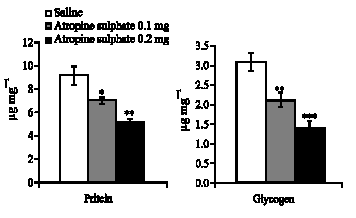Image for - Atropine Sulphate Induced Changes in Uterine, Adrenal, Liver and Thyroid Gland  in Female Albino Rats