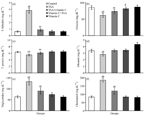 Image for - Hepatoprotective Influence of Vitamin C on Thioacetamide-induced Liver Cirrhosis in Wistar Male Rats